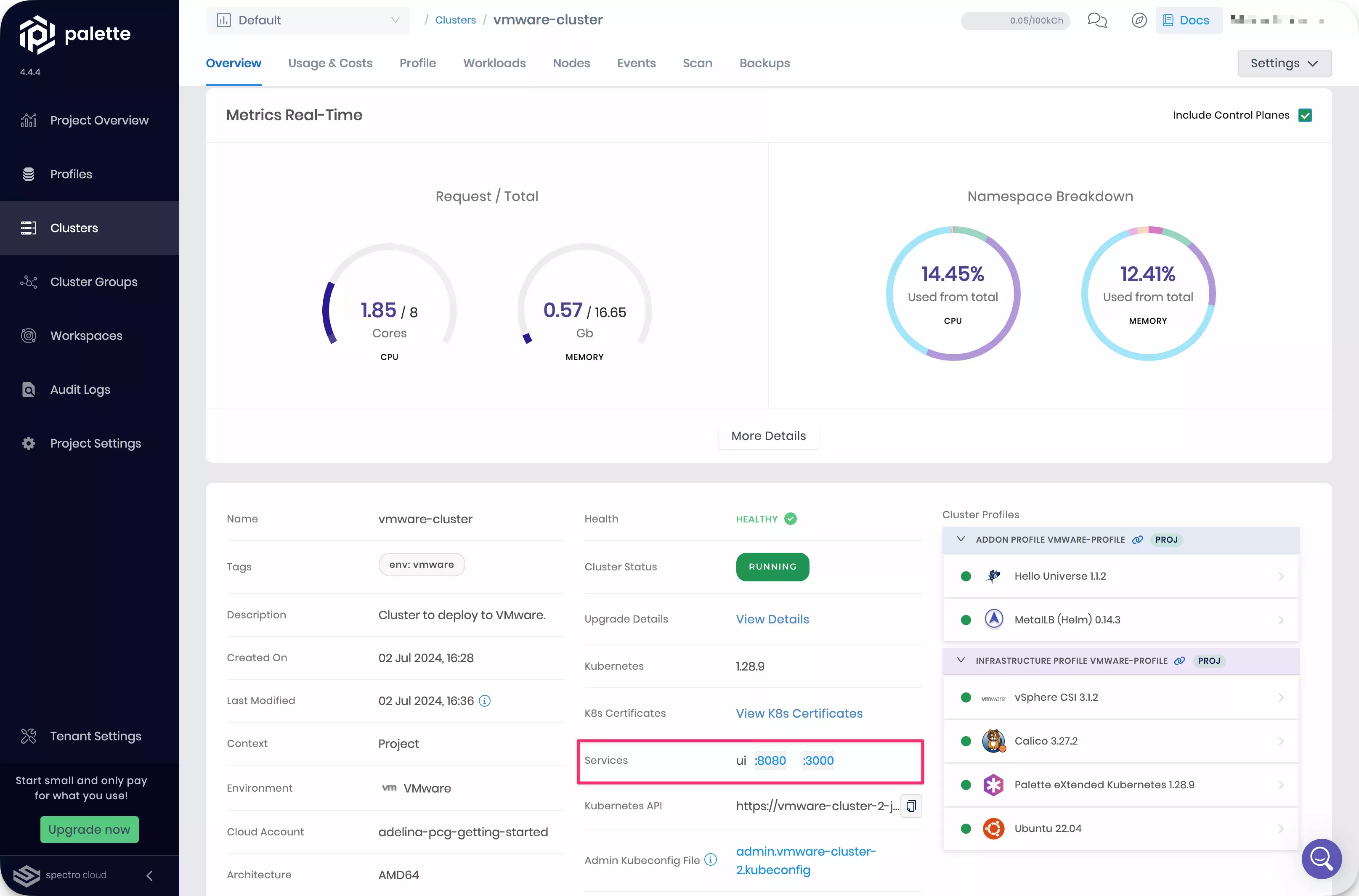 Cluster details page with service URL highlighted