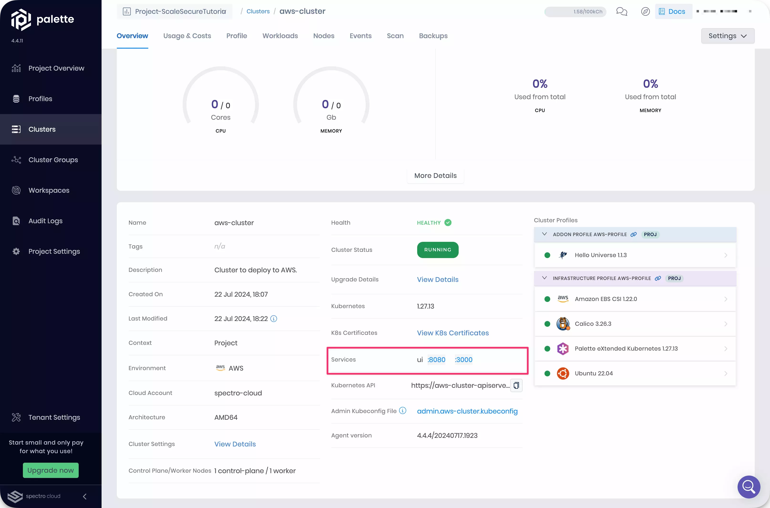 Cluster details page with service URL highlighted