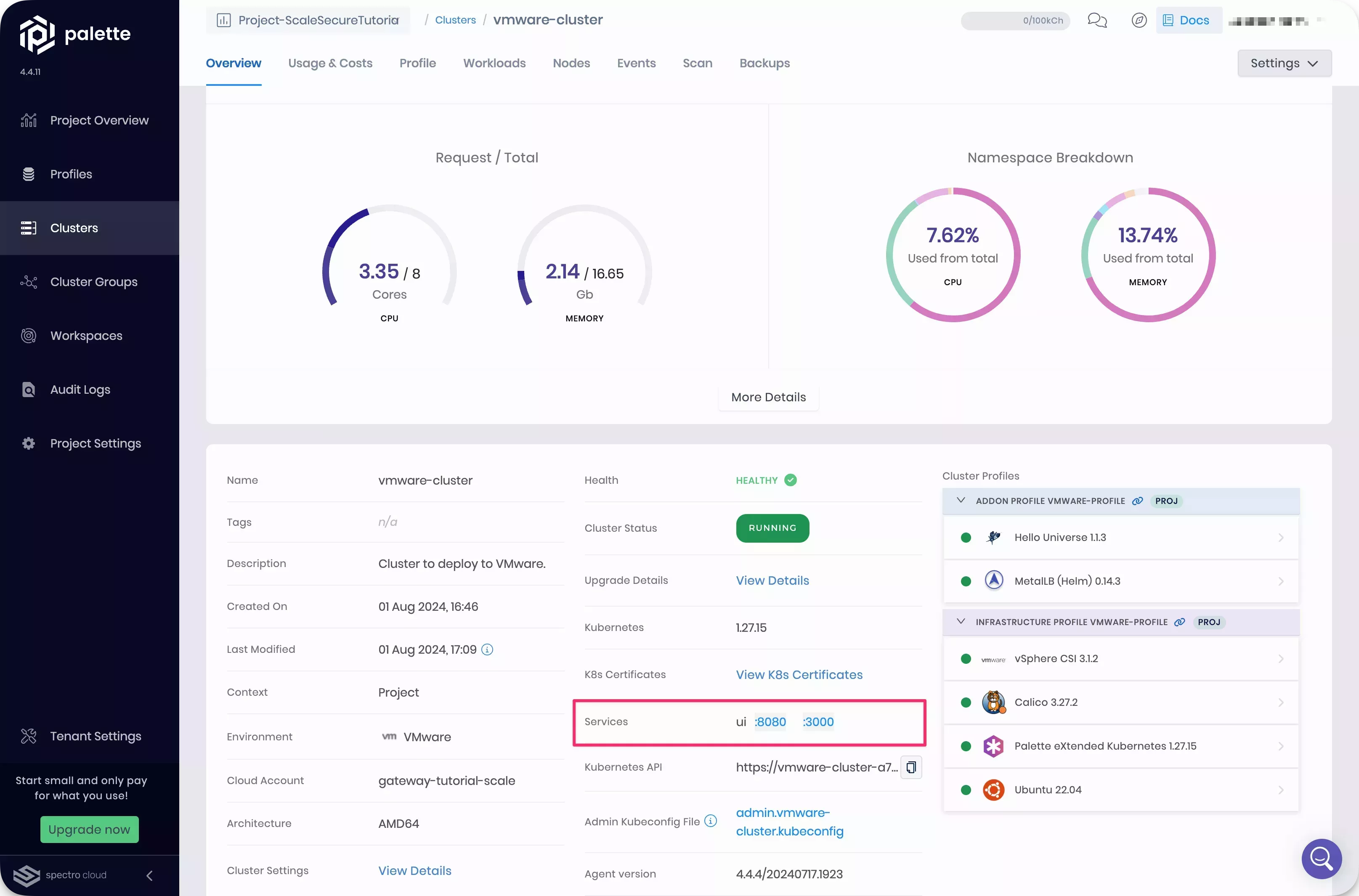 Cluster details page with service URL highlighted
