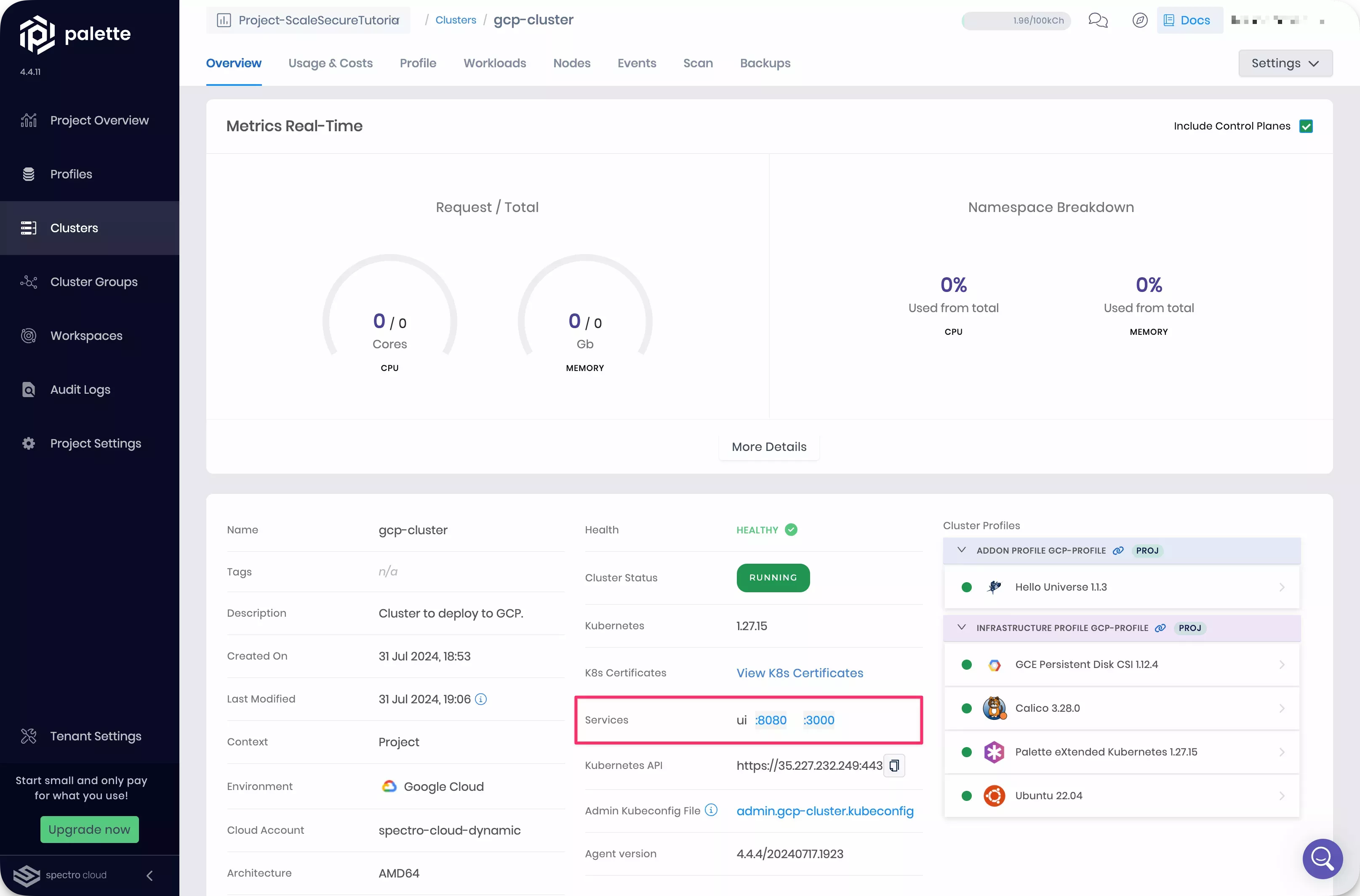 Cluster details page with service URL highlighted